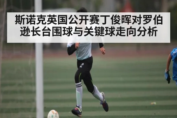 斯诺克英国公开赛丁俊晖对罗伯逊长台围球与关键球走向分析